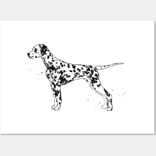 Dalmatian dog Posters and Art